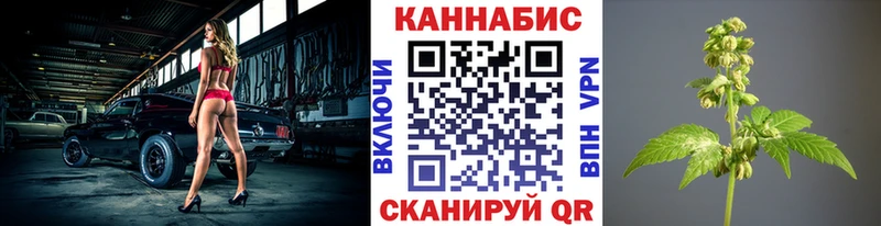 Где найти наркотики Электрогорск Каннабис Cocaine АМФ mega tor Гашиш