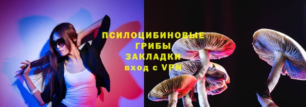 твердый Вязьма