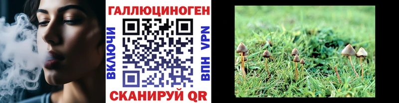 Галлюциногенные грибы мицелий  omg онион  Электрогорск 